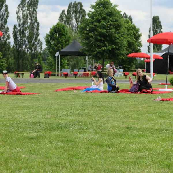 Pohoda na trávníku