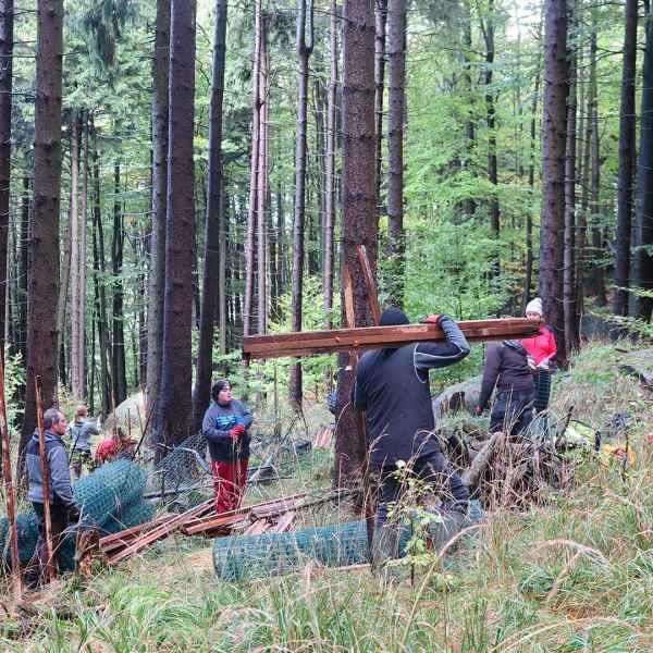 Výsadba v plném proudu